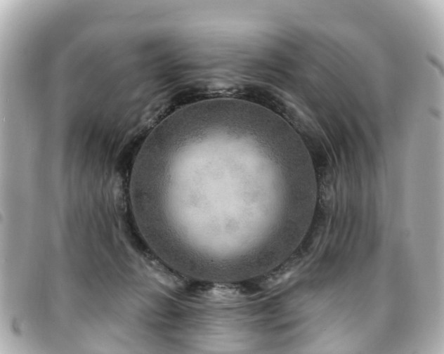 X0000094420270200711081142