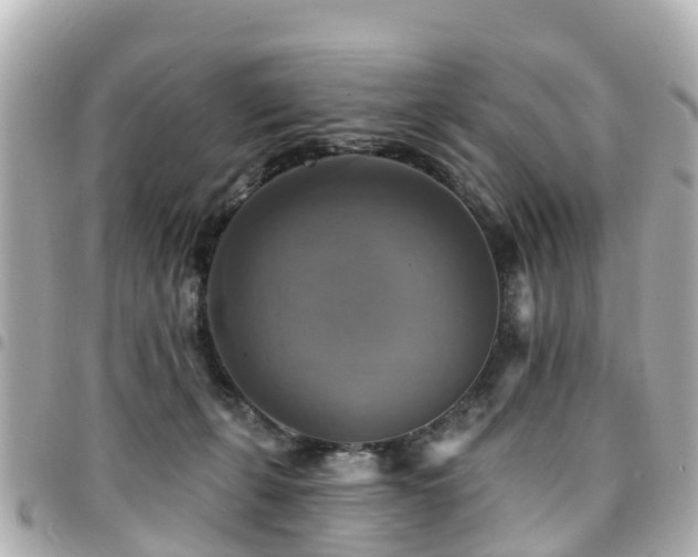 X0000094420271200711081142