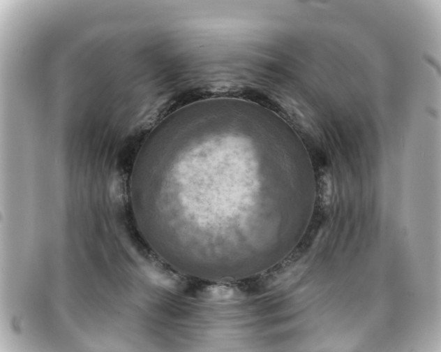 X0000094420272200711081142