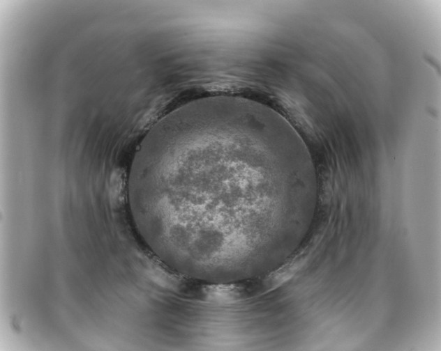 X0000094420273200711081142