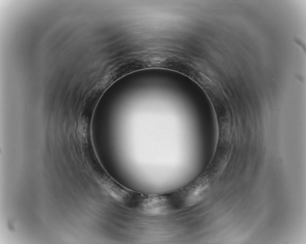 X0000094420274200711081142