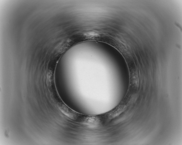 X0000094420275200711081142
