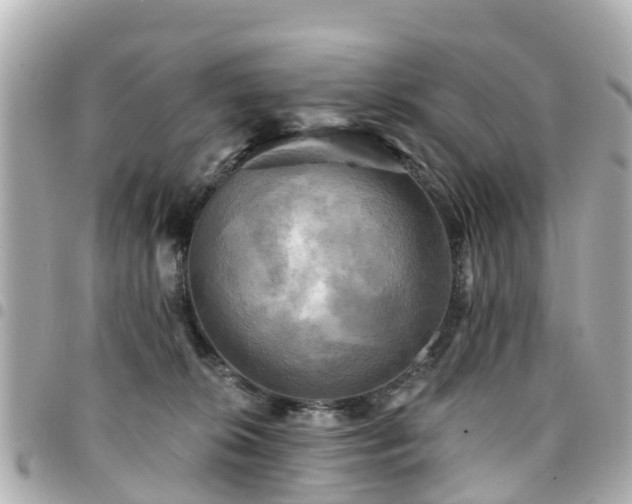X0000094420276200711081142