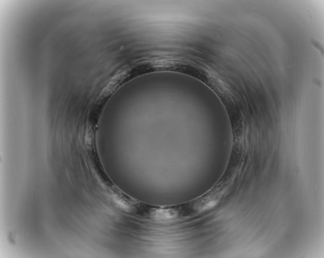X0000094420277200711081142