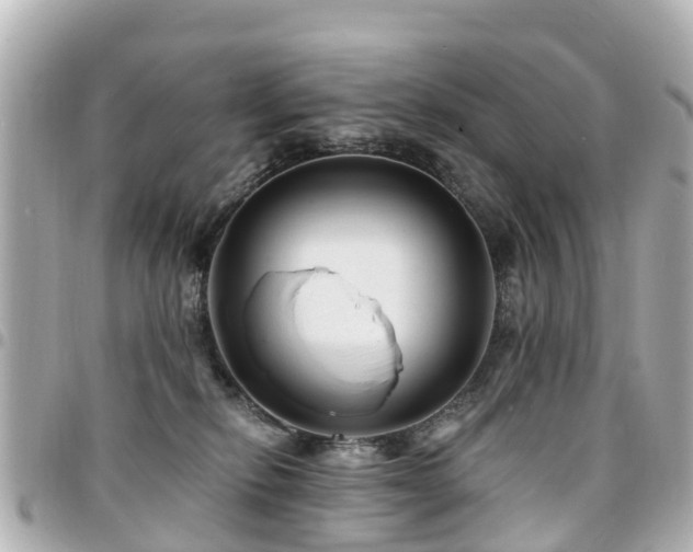X0000094420278200711081142