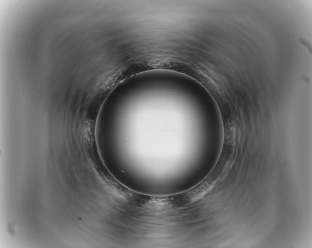 X0000094420280200711081142