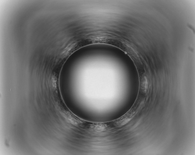 X0000094420282200711081143
