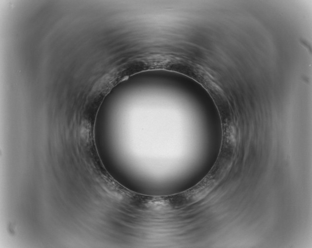 X0000094420283200711081143