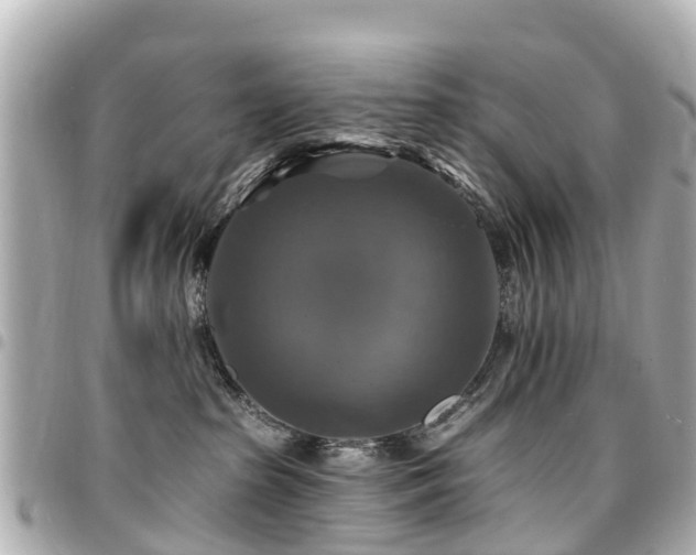 X0000094420285200711081143