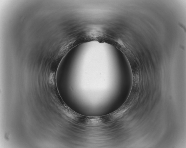X0000094420286200711081143