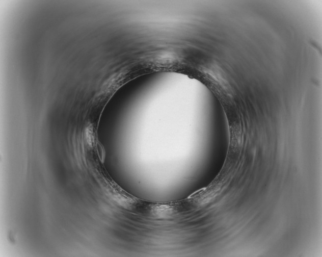 X0000094420287200711081143
