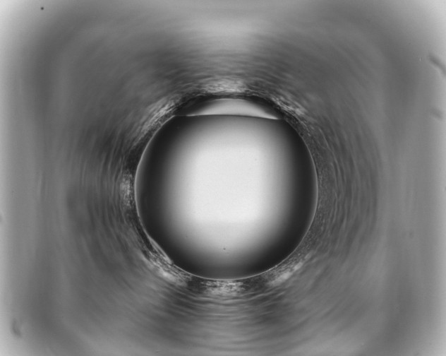 X0000094420288200711081143