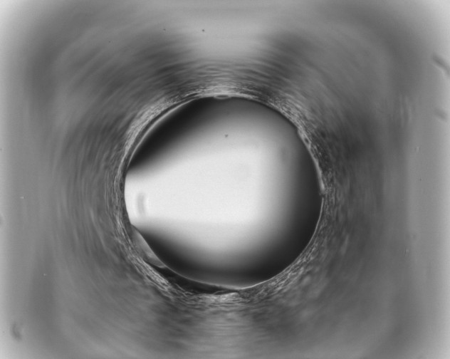 X0000094420289200711081142