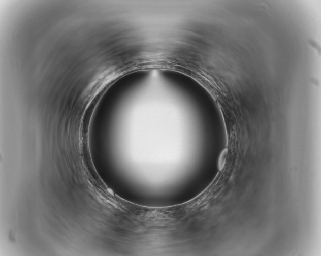 X0000094420290200711081142