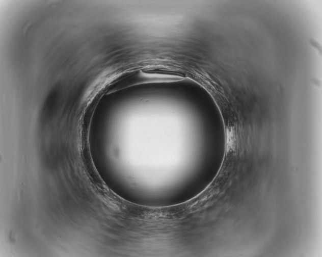 X0000094420291200711081142