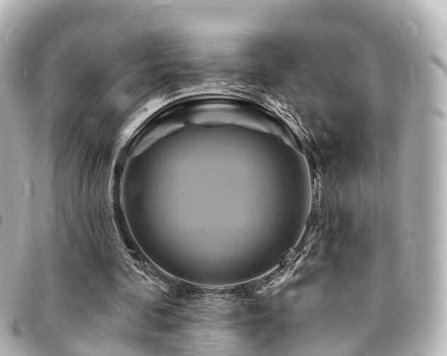 X0000094420292200711081142