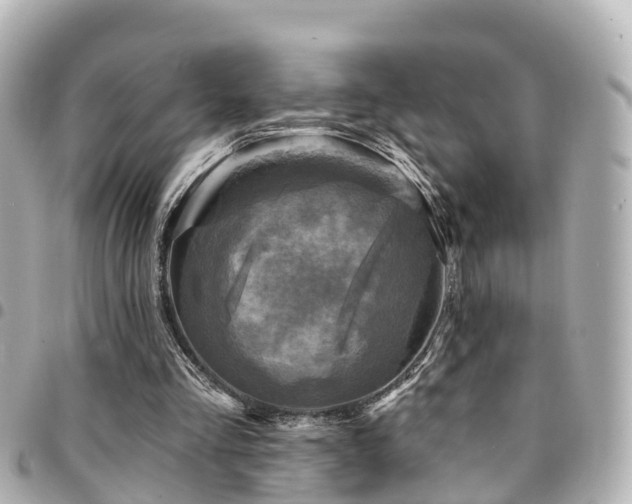 X0000094420293200711081142