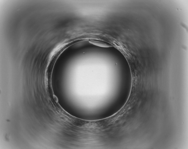 X0000094420294200711081142