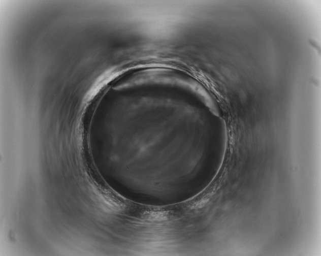 X0000094420295200711081142