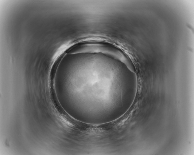 X0000094420296200711081142