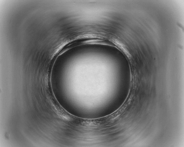 X0000094420297200711081142