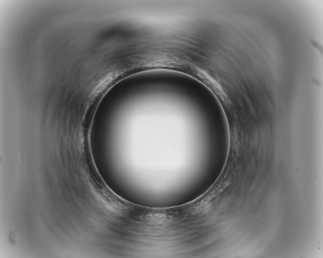 X0000094420298200711081142