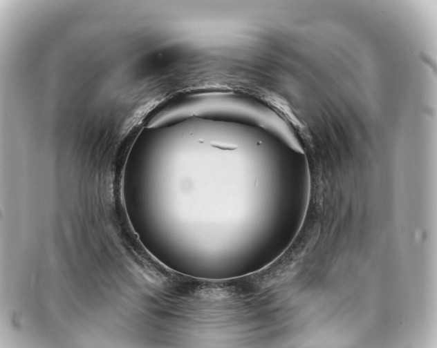X0000094420299200711081142