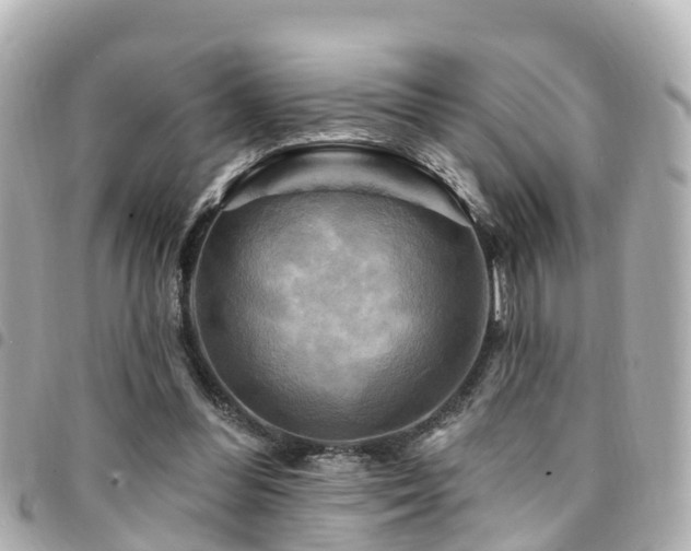 X0000094420300200711081142