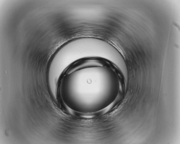 X0000094420301200711081142