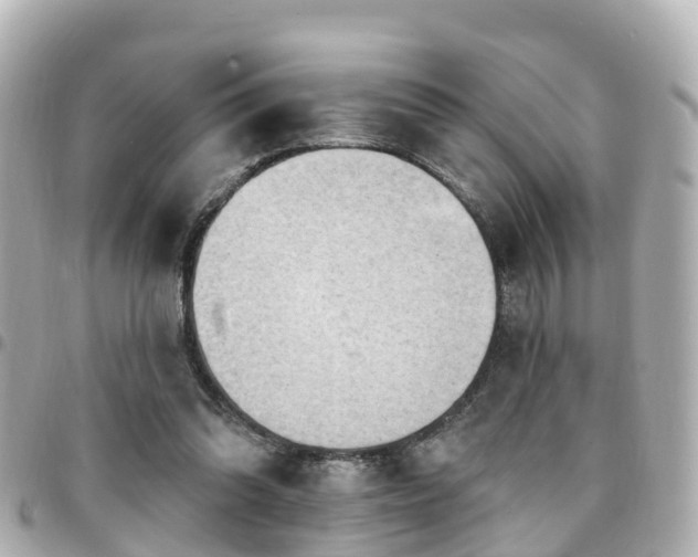 X0000094420302200711081142