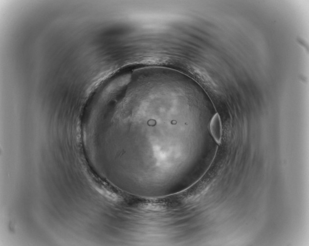 X0000094420303200711081142