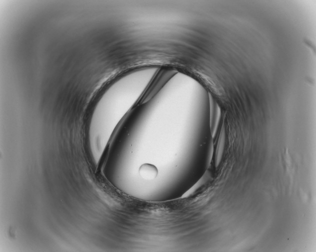 X0000094420304200711081142
