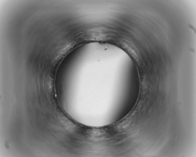 X0000094420305200711081142
