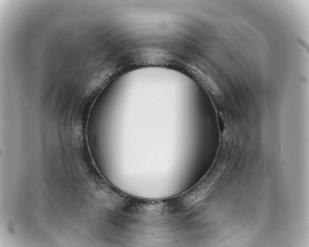 X0000094420306200711081142