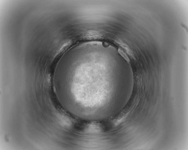 X0000094420308200711081142