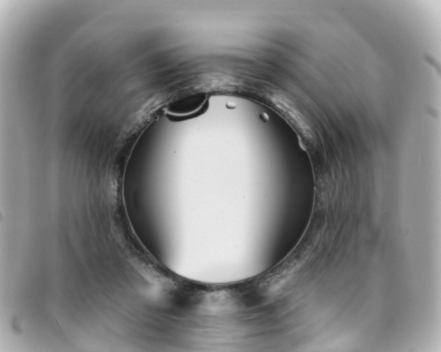 X0000094420309200711081142