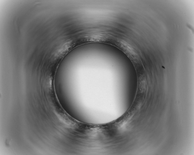 X0000094420310200711081142