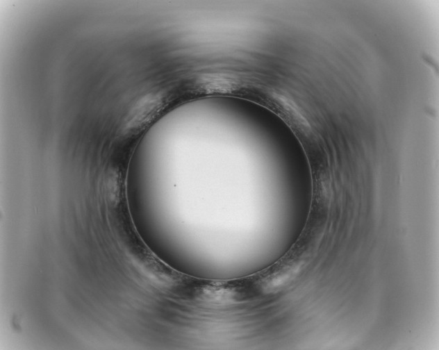 X0000094420311200711081142