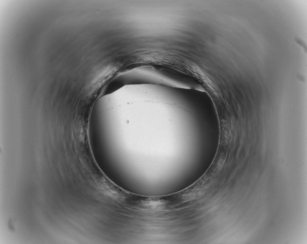 X0000094420313200711081142