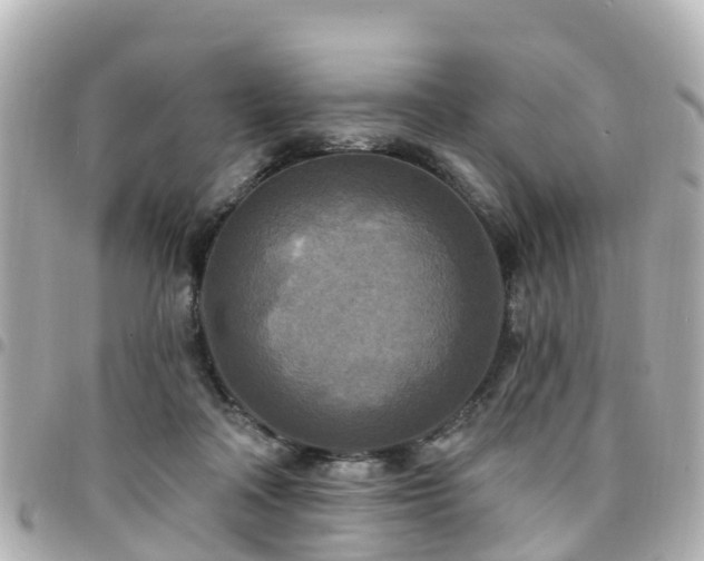 X0000094420314200711081142