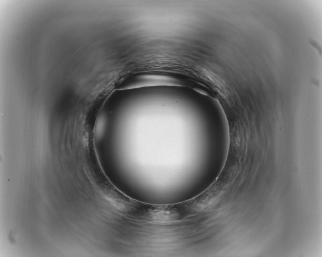 X0000094420315200711081142