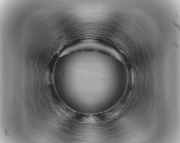 X0000094420316200711081142
