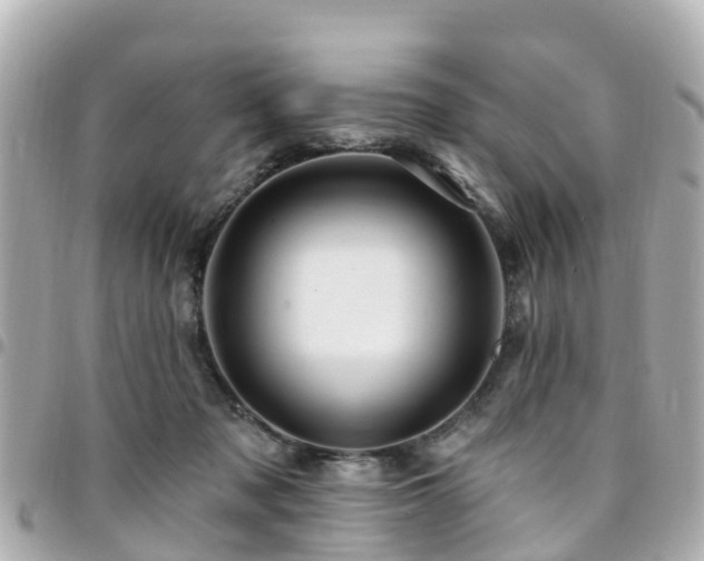 X0000094420317200711081142