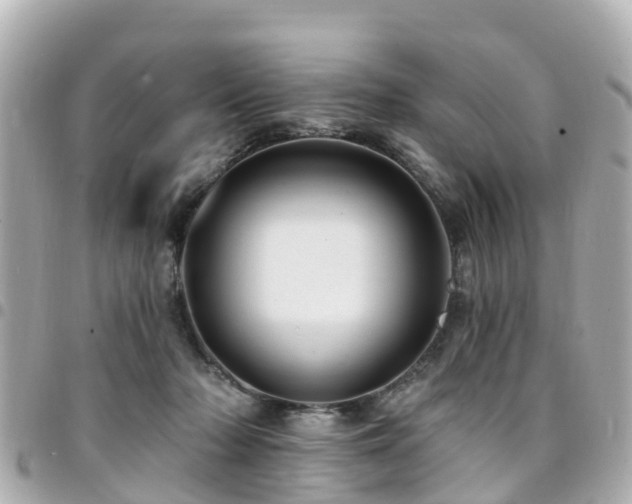 X0000094420318200711081142