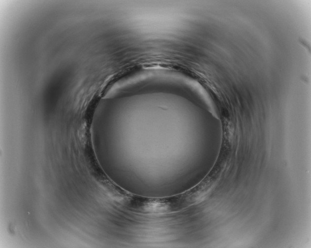 X0000094420319200711081142