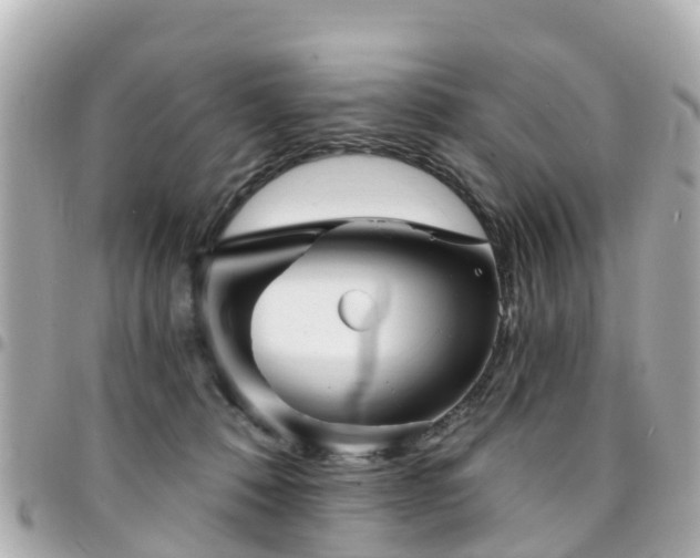 X0000094420320200711081142