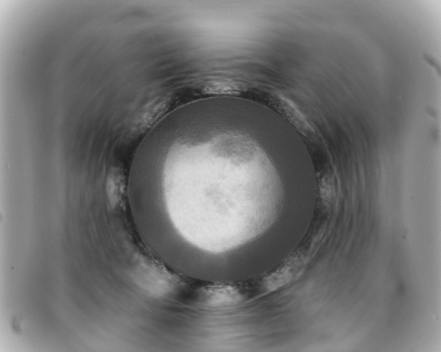 X0000094420322200711081142