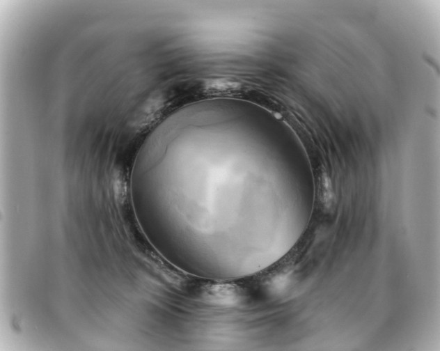 X0000094420324200711081142
