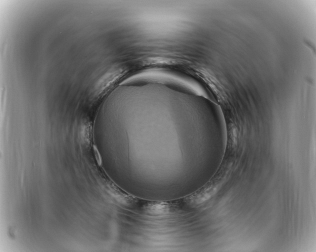 X0000094420325200711081142