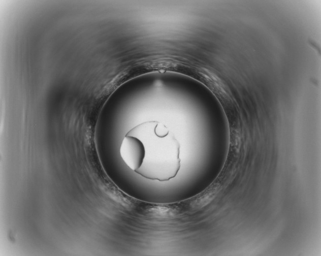 X0000094420326200711081142